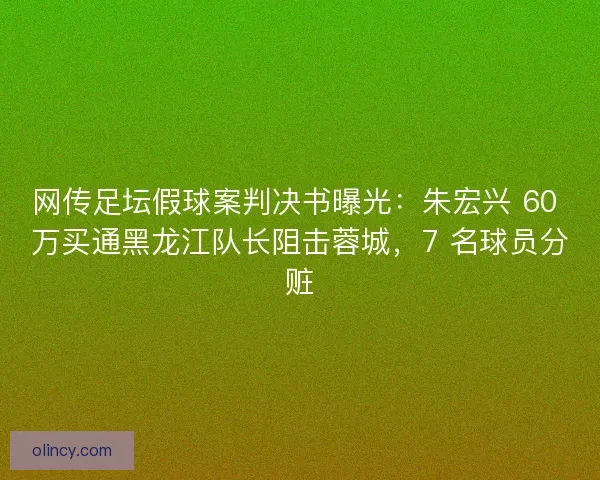 网传足坛假球案判决书曝光：朱宏兴 60 万买通黑龙江队长阻击蓉城，7 名球员分赃